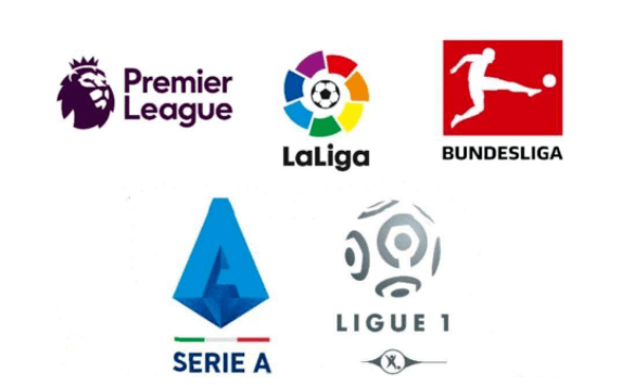 不仅展示了 不仅展示了